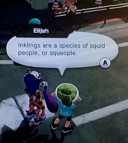 davebirb:  a collection of splatoon miiverse