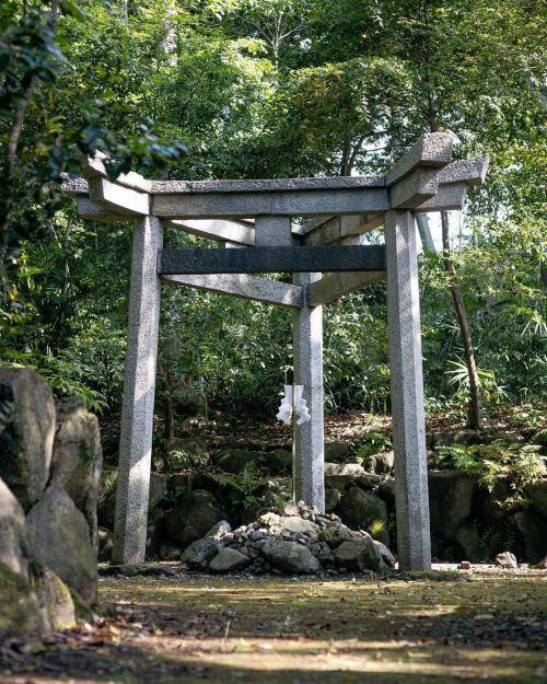 木嶋坐天照御魂神社 #木嶋坐天照御魂神社 #木嶋神社 #蚕ノ社 #京都三大珍鳥居 #京都 #太秦 (木嶋坐天照御魂神社)https://www.instagram.com/p/CPMaTZftkby/