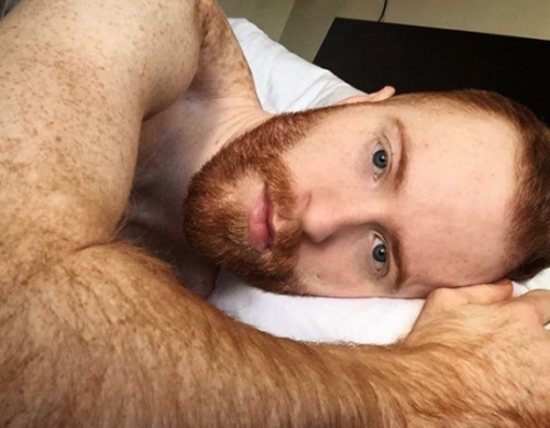 gingermanoftheday:  February 23rd 2020  http://gingermanoftheday.tumblr.com/