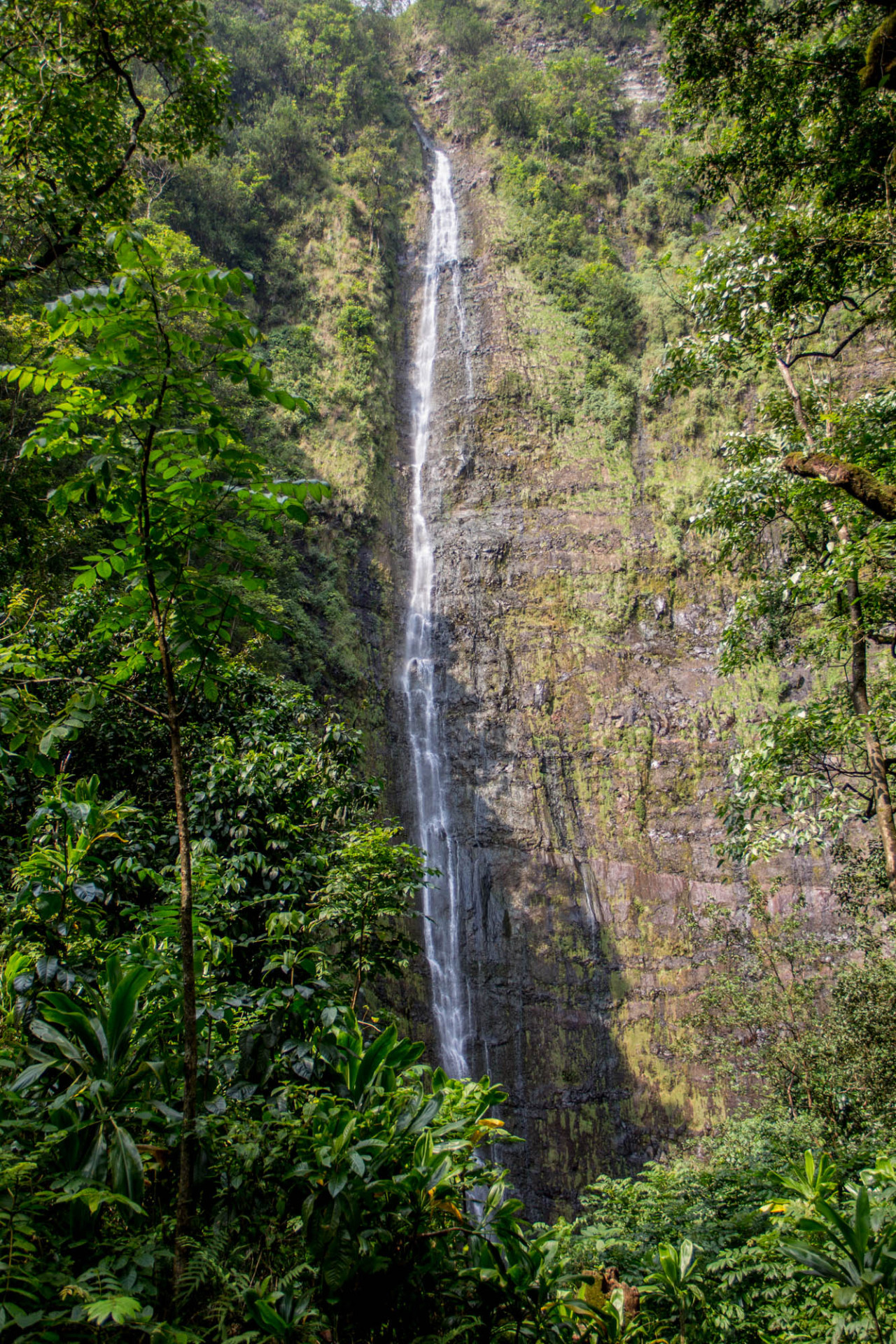 Waimoku Falls