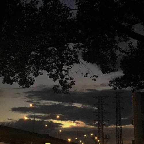 nightsgf: mini archive for @floweroftheothershore
