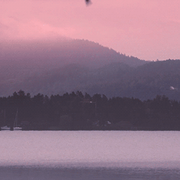 stimmywombat:  Dawn Stimboard for anon (X,X,X-X,X,X-X,X,X)