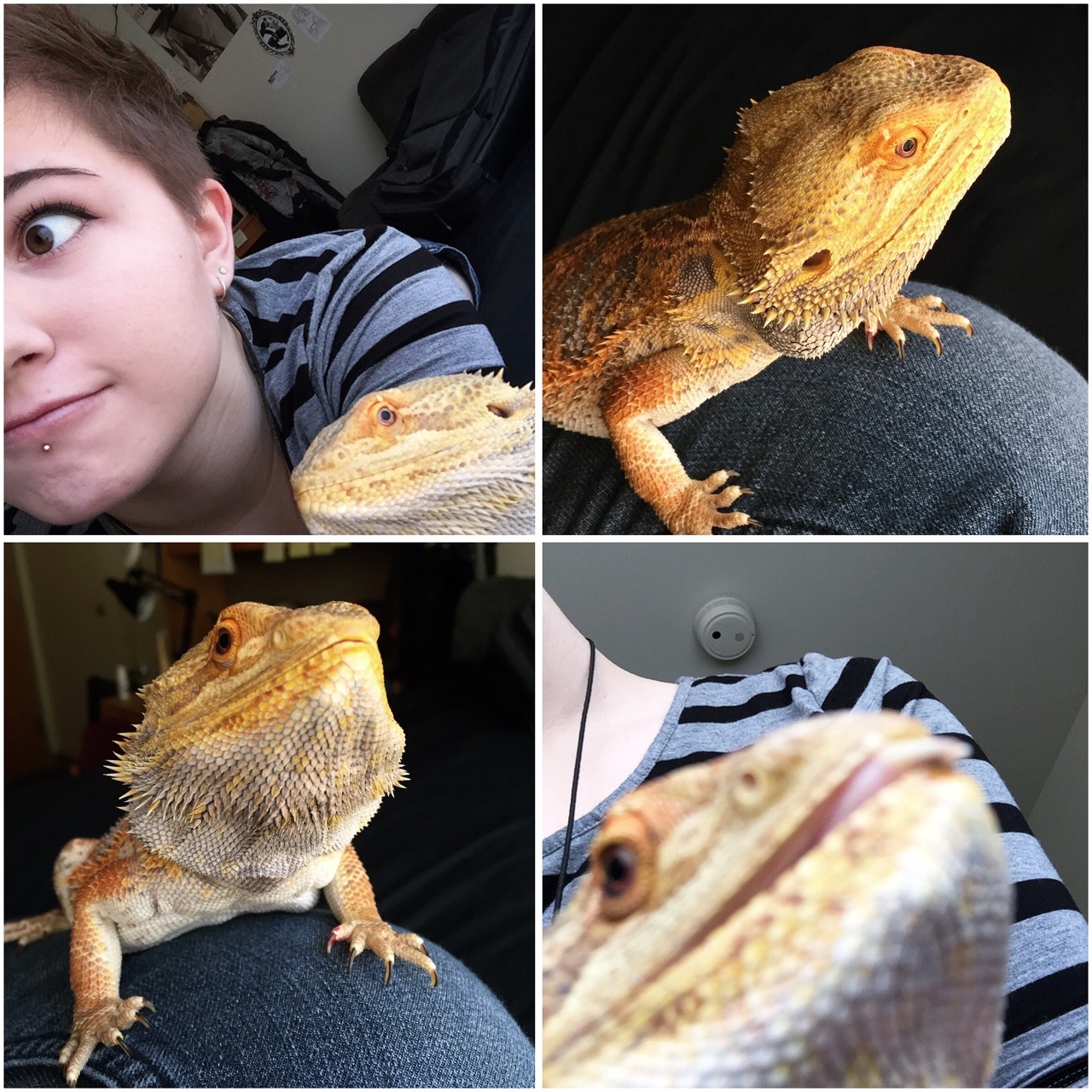 mergle:  he loves selfies