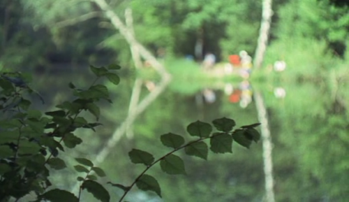 365filmsbyauroranocte: Le bonheur (Agnès Varda, 1965): empty spaces