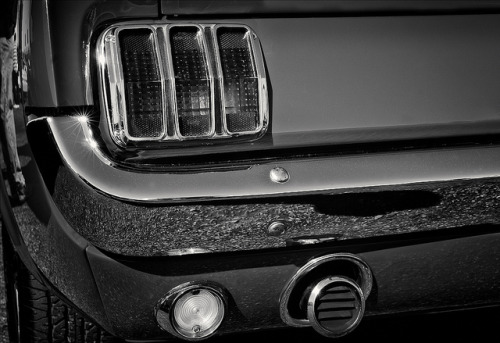 Porn photo ford-mustang-generation:  Mustang GT by Desert