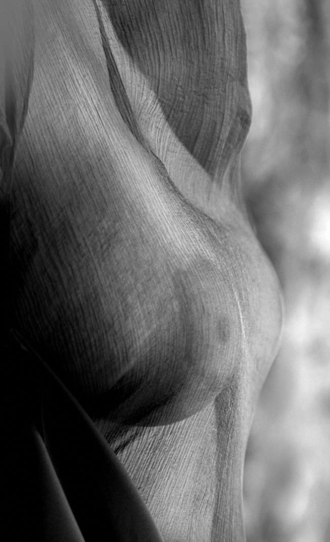 delunaobscura:  by Eric Rose 
