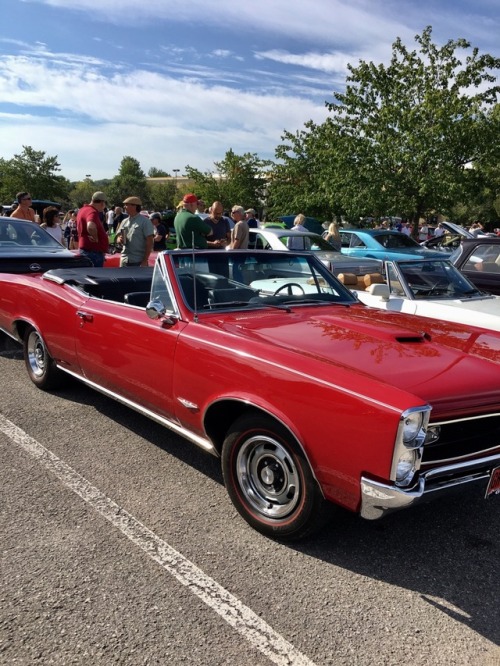 “Hump day it is…” And we have a 1966 convertible Pontiac GTO! This year only came
