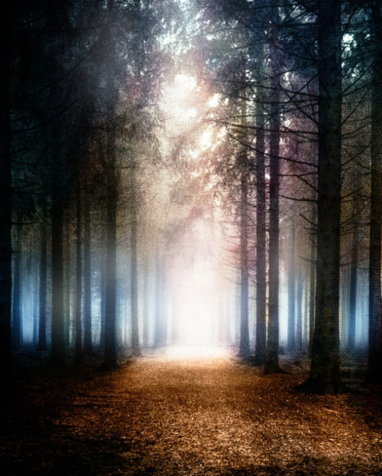 wnq-writers: bestofs6:    VIVIANA GONZALEZ    More by the Artist Here  25% OFF EVERYTHING