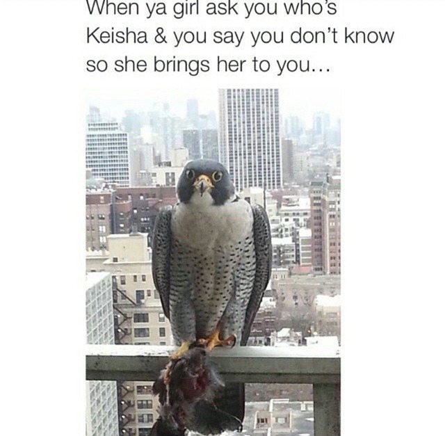 yobootyassgirl:  💀💀💀💀💀💀