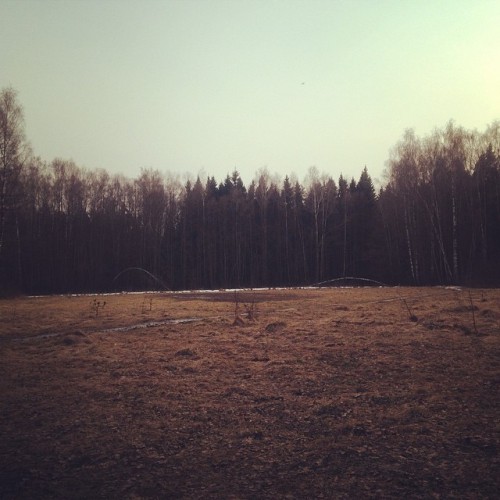 #forest #wood #landscapes #korolev #russia #iphone #pic #spring