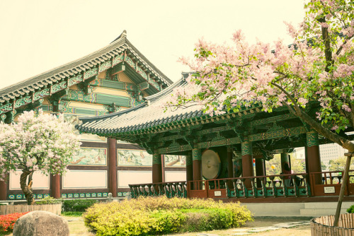 fuckyeahjapanandkorea:  Bongeunsa Temple, Seoul by Jirka Matousek 