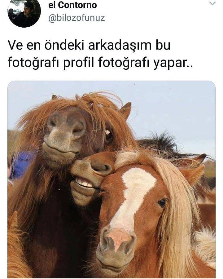 ve en öndeki arkadaşım bu...