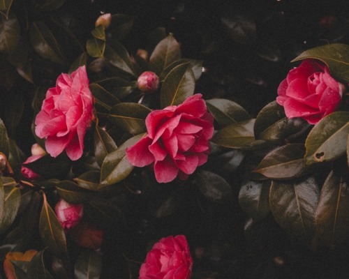 Spring &hellip;. xoxoxo