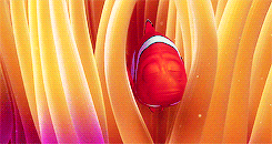 iamnevertheone:       I have to find my son, I have to tell him how old sea turtles are!      
