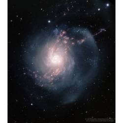 Ngc 3310: A Starburst Spiral Galaxy #Nasa #Apod #Ngc3310 #Spiralgalaxy #Stars #Densitywaves