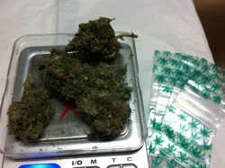 m0nster9:  Sorry it got cut off. I was 7.2g Green Crack.