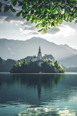 lsleofskye:  Slovenia | merveceranphoto