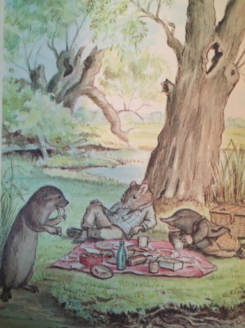 The Wind in the Willows by Kenneth Grahame and lovely illustrations by Tasha Tudor