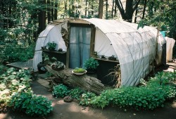 vhord:  cabinporn:  Squat shelter in Yoyogi Park, Tokyo, Japan. Contributed by Pip Jones.