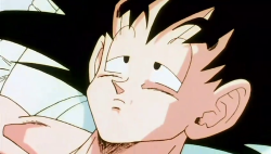 Dragon Ball Z screen caps!