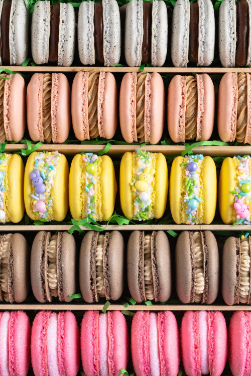 sweetoothgirl: the ultimate easter macaron box