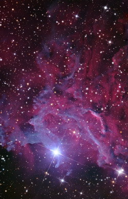 ohstarstuff:  Flaming Star NebulaThis is the magnificent IC 405 or Flaming Star Nebula. It’s a diffuse nebula located in the Auriga constellation. The nebula mainly surrounds the star AE Aurigae and gives the impression that the star is burning, hence