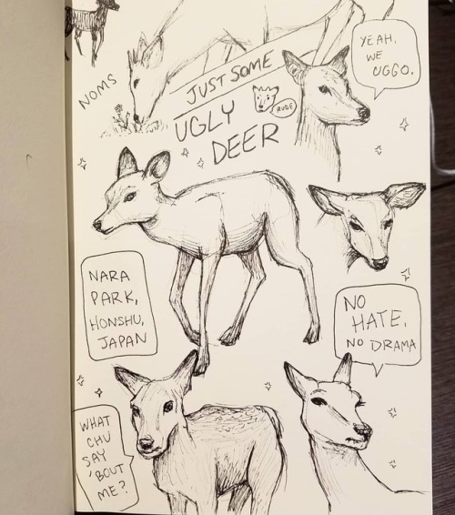 Are they actually ugly? Or did I just draw them that way? #deer #ugly #butkindacute #narapark #japan