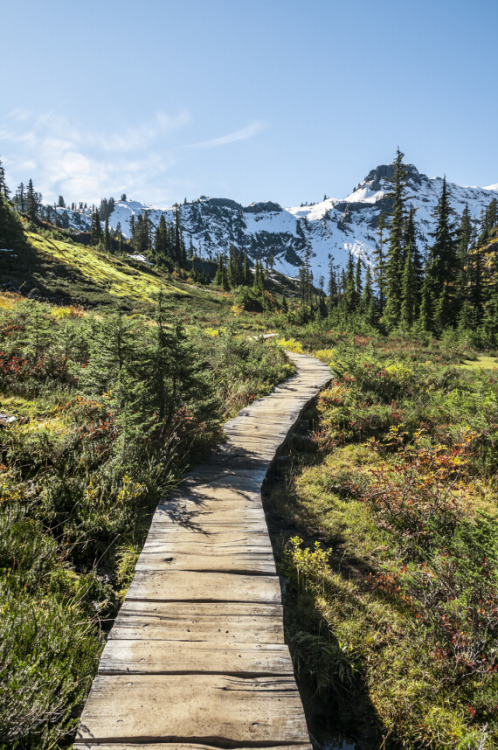 Photography by Visioni ItalianeLocation: The area around Mt. Baker Ski Resort, WA, USA If you enjoy 