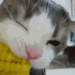 yssring:sstop esting… stpp it…. stop..!! wwy… why doeng it over agsin…. why..!!!!?