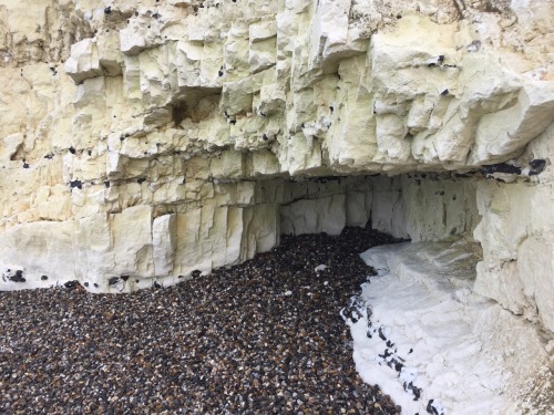 axdaull:Briques - DieppeChalk cliffs, coast of France