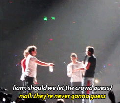 idiothoran:  niall and harry imitating australian animals (x) 
