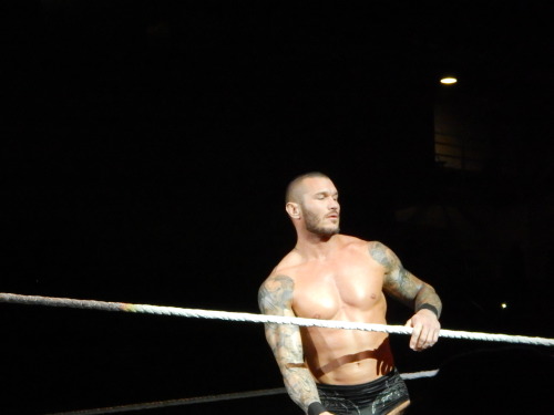 Sex warblgarbl4lyf:  WWE live in Toronto pt 5 pictures