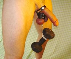 amateurmalebdsm:   The recipe for developing low hanging fruit…  Amateur Male Bondage, BDSM, Pain and torture on tumblrhttp://amateurmalebdsm.tumblr.com/ Blogs I Follow: Cock and Ball Torture : Amateur CBT : What is Strap On? :  What is Chastity?: