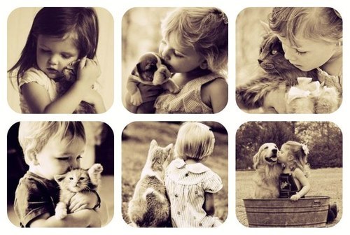 Untitled en We Heart It. http://weheartit.com/entry/74627748/via/byAdalina