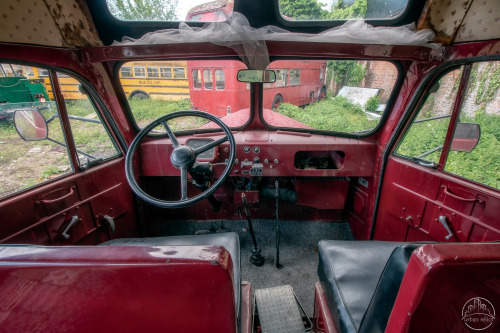 ANTIQUES ROADSHOWIn the backyard of a garage I came across this collection of discarded cars and bus