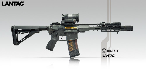 Lantac Onyx Receiver Sets, Spada-ML Handguard,Magpul MOE+ Grip &amp; CTR StockLantac E-CT1 Curve