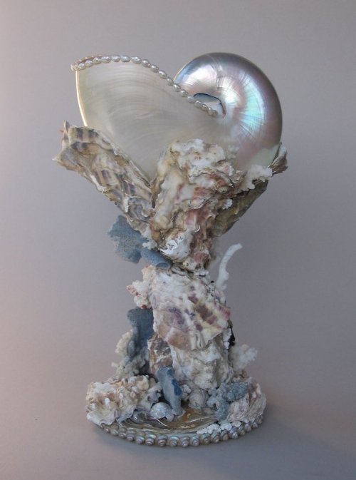 bebemoon: a mother-of-pearl nautilus shell held on a stand of overlapping oyster shells with antique