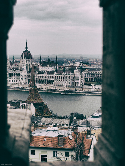 Porn photo ninibaseema:Budapest Views  quanto mi manchi