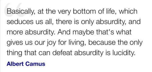 albert camus