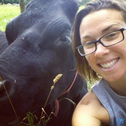 animalarchy: Frankie is so beautiful. I can’t handle it sometimes! #cattle #cows #bovine #farm