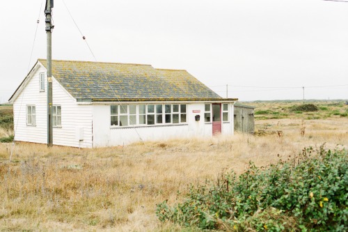 dungeness on film.