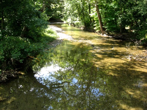 The Saucony Creek.(Yes, the shoes were named after it.)