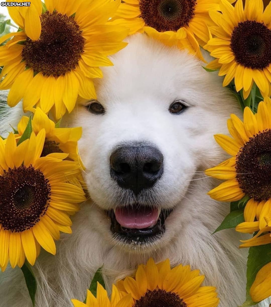 Günaydın ☺️
-
📸...