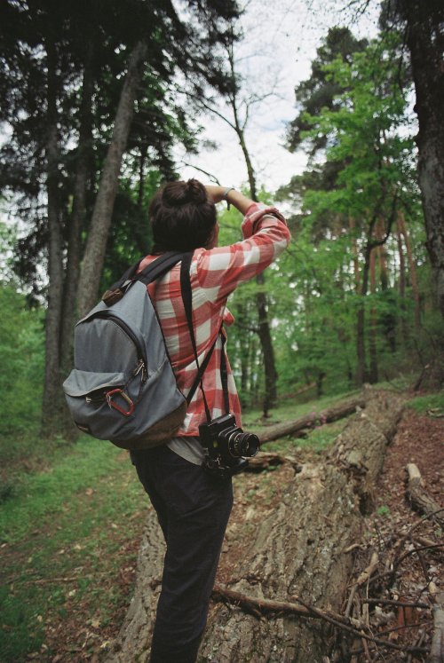 dimitrifraticelli:  Exploring El Escorial on Kodak Color Plus & Kodak Ektar