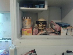 dammit-jim-im-a-blog: skeletonmeme:  bandgeek1207:  So I was at my friends house and she opens her freezer and This WAS THERE. AND I WAS DYING AND SHE LOOKS AT ME AND GOES “ah yes, this is Henry, the freezer skull” and I can’t…  ay yo got any