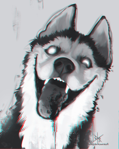 Smiledog.jpg