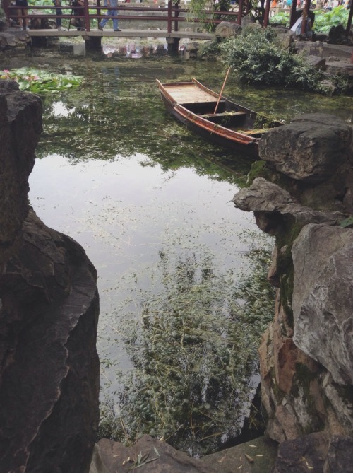saint:  took this when i was visiting a lovely garden in china