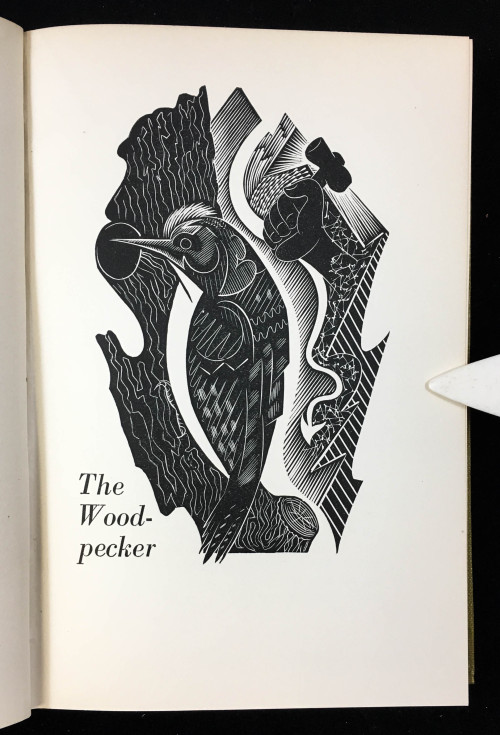 Happy Feathursday! These wood engravings were created by John Farleigh and come from a book on bird 