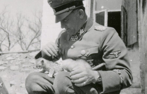 XXX digg:  Nazis with cats is a real blog. photo