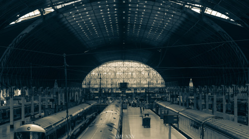 amexxvphotography:  London Paddington Station AME XXV